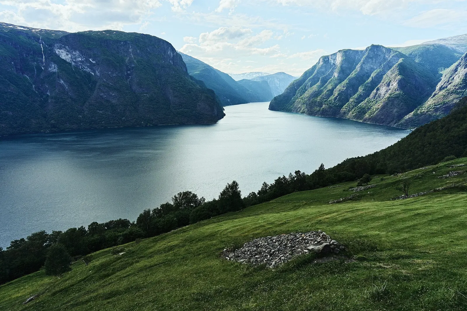 Vue en surplomb d'un fjord aux eaux calmes entre de hautes montagnes boisées, avec une prairie verte au premier plan