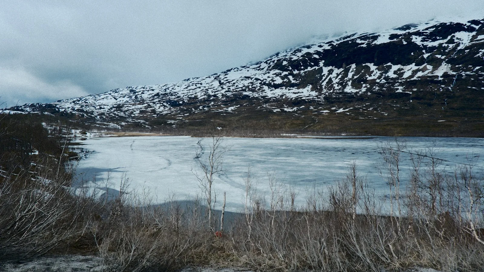 Itinéraire jour par jour : Lofoten et Tromsø en 7 jours