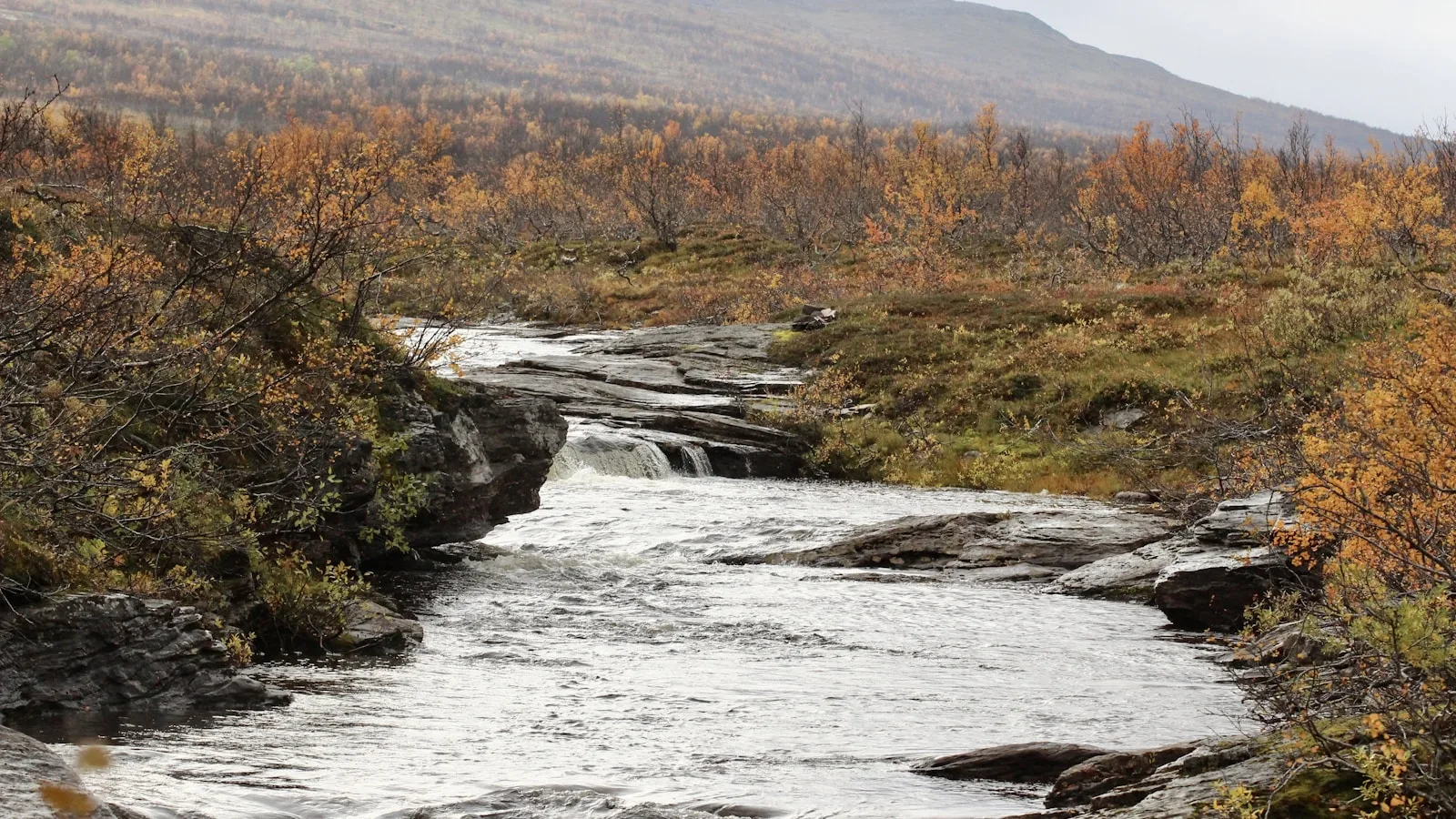 Cas particulier : trek et bivouac dans le Grand Nord