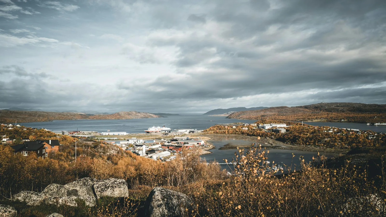 Option 1 : le safari de Kirkenes, la formule la plus authentique