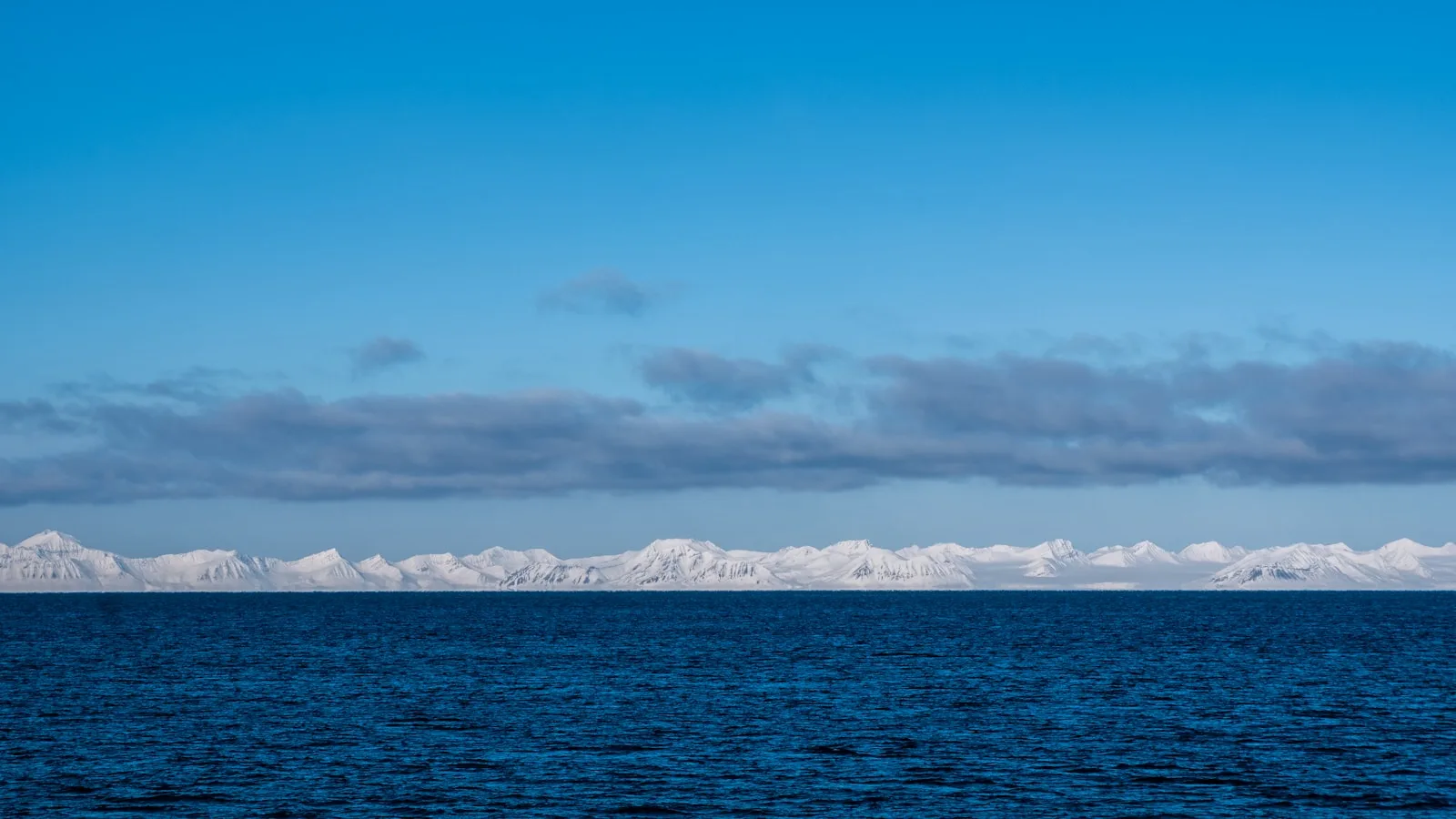 Rage : un risque marginal, sauf au Svalbard